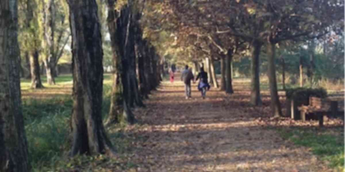 Una struttura perfetta in un ambiente ritrovato