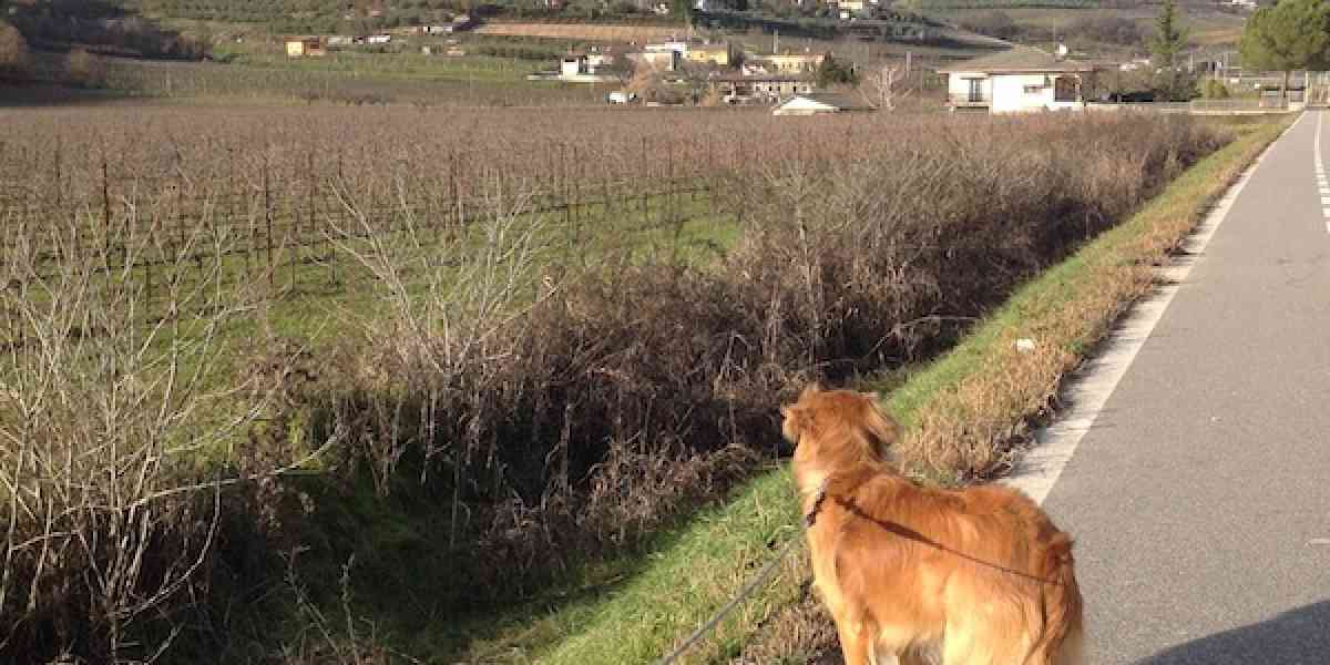 Un angolo di Toscana a due passi da S. Martino