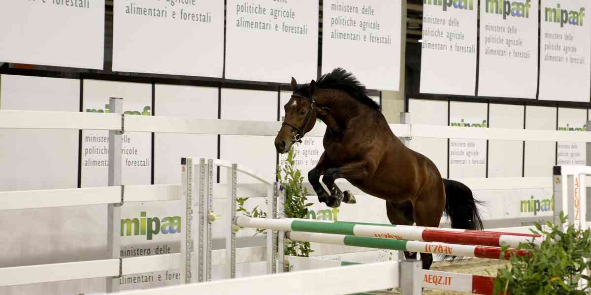 Record di presenze a Fieracavalli
