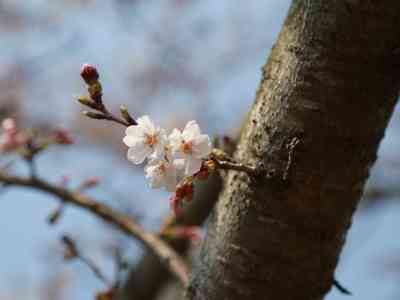 La primavera (urbana) di RiVer sboccia nei quartieri