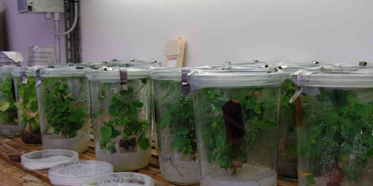 L'Università di Verona investe nella chimica... verde