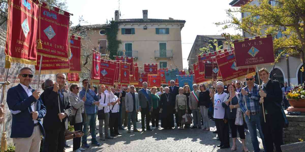 I primi 60 anni dell’Avis provinciale di Verona
