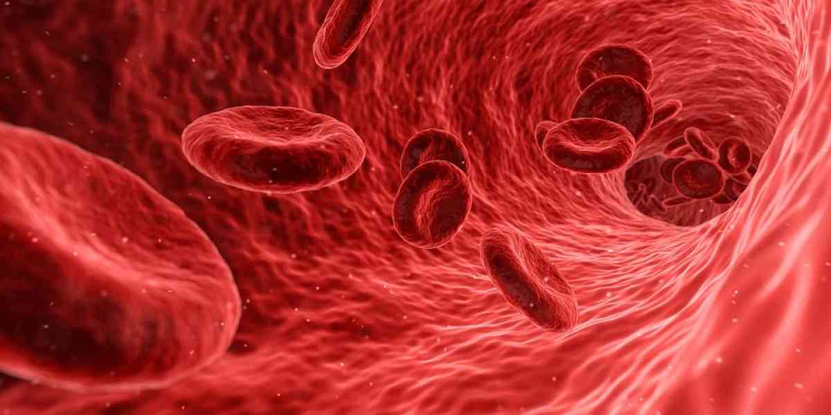 È indispensabile e non si fabbrica: cos'è? Il sangue