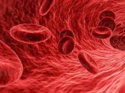 È indispensabile e non si fabbrica: cos'è? Il sangue