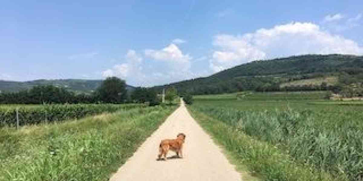 Appena fuori San Martino tra campagne e boschi