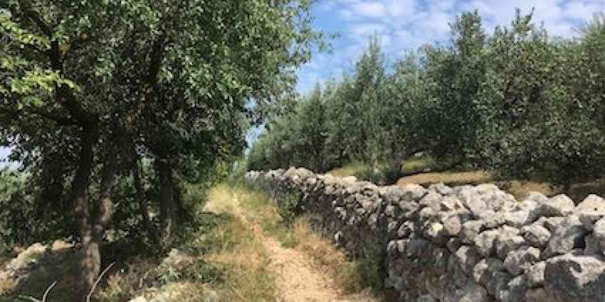 Dal colle di San Rocchetto una panoramica su tutta la città