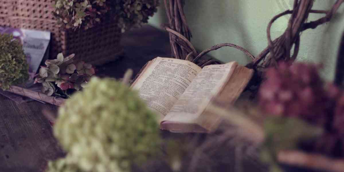 Maratona di lettura a San Pietro in Colle