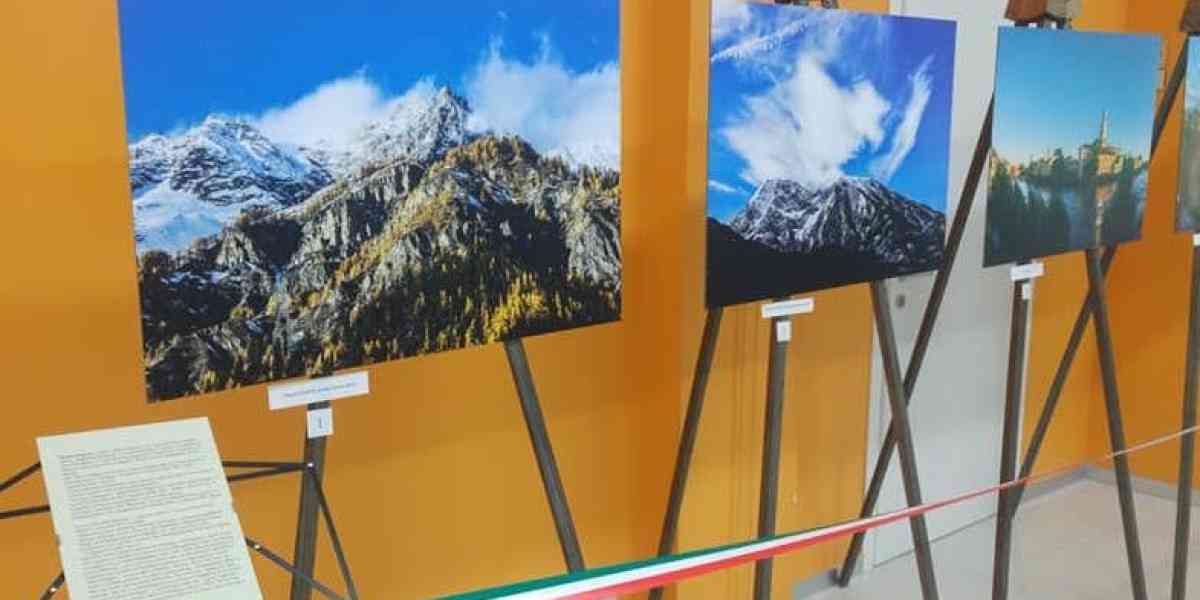 Casa di riposo: in camera ci sono foto d'artista