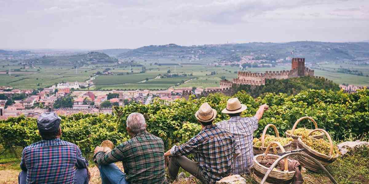 Soave patrimonio mondiale delle Fao