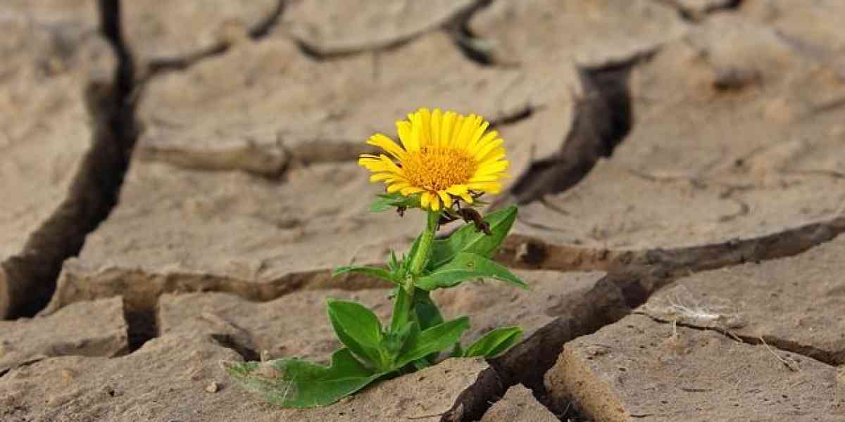 Emergenza caldo: come reagire alle ondate di calore