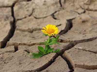 Emergenza caldo: come reagire alle ondate di calore