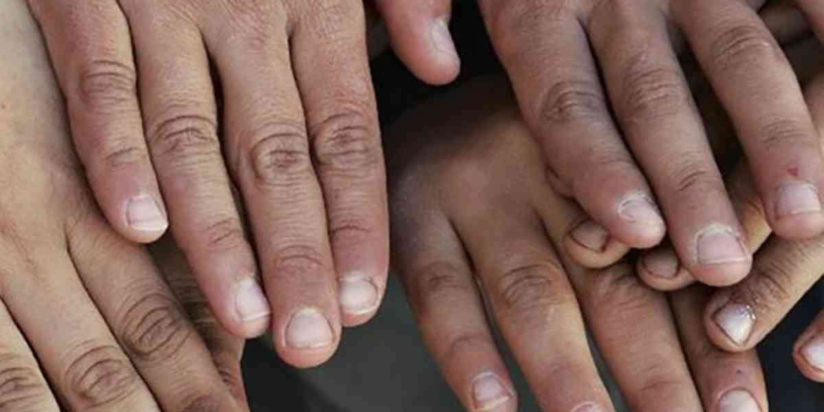 Affidi illeciti, "non infangare il lavoro di comunità e famiglie"