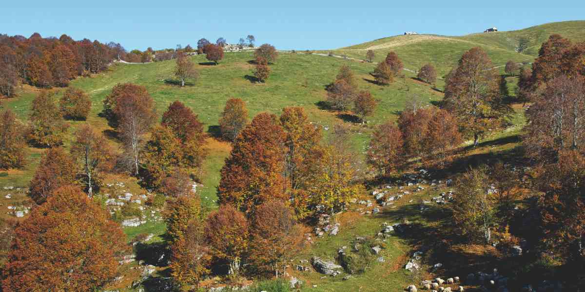 La montagna veronese trova spazio nel Quaderno