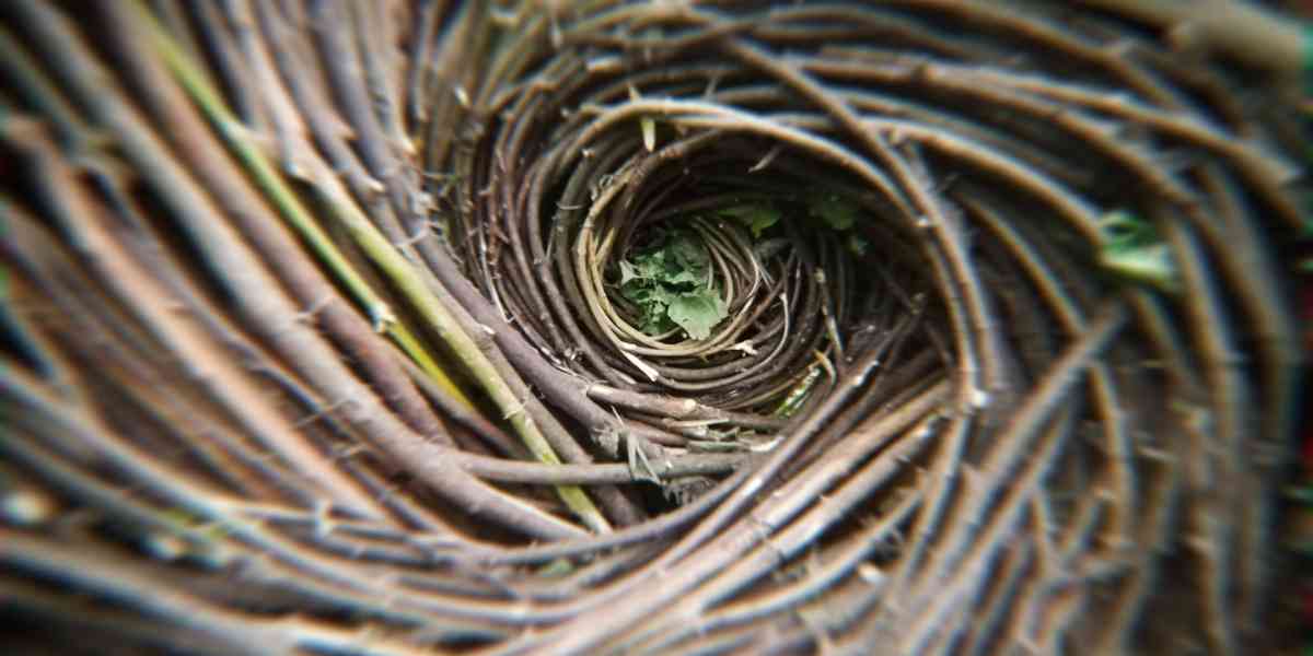 A Villa Buri tra arte e natura con "Linea Terra Acqua"