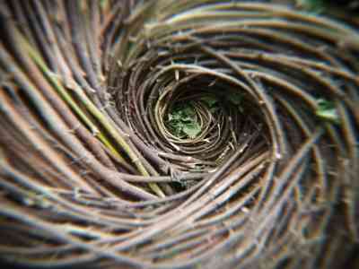 A Villa Buri tra arte e natura con "Linea Terra Acqua"