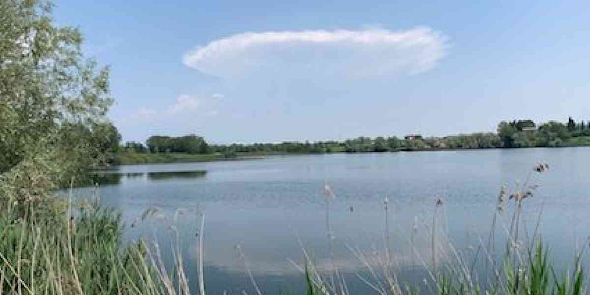 Attorno al laghetto del Frassino un’oasi di flora e fauna assai preziose