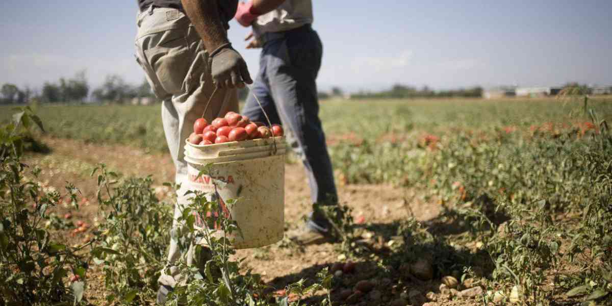 Che buona questa agricoltura