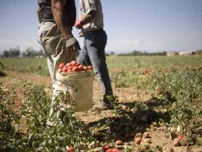 Che buona questa agricoltura