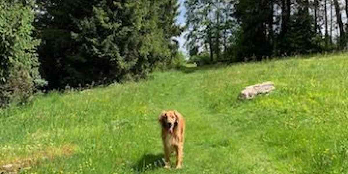 Contrade, boschi, giassare: qui la Lessinia più bella