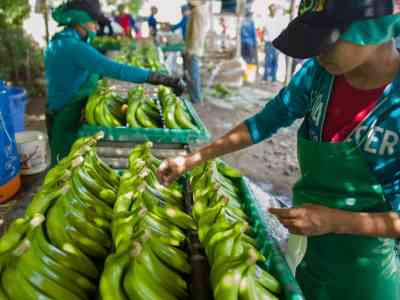 Il commercio equo solidale aiuterà a salvare la Terra