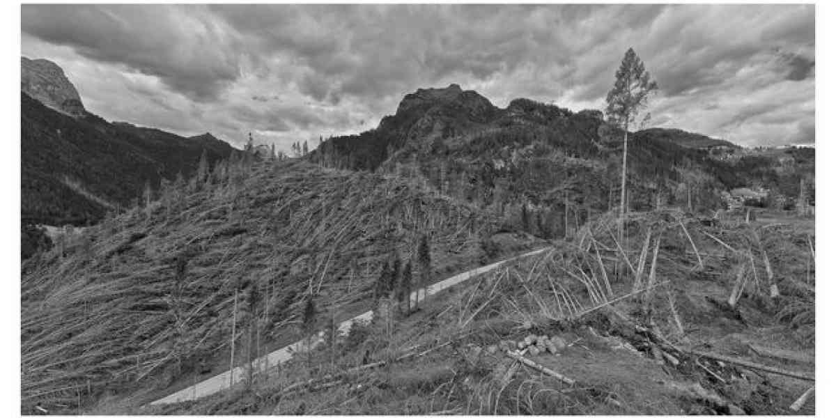 Le Dolomiti dopo Vaia