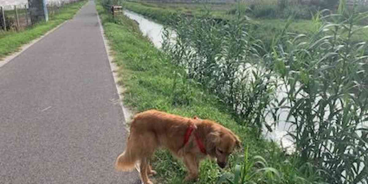 La ciclopedonale “scopre” la tranquillità di Buttapietra