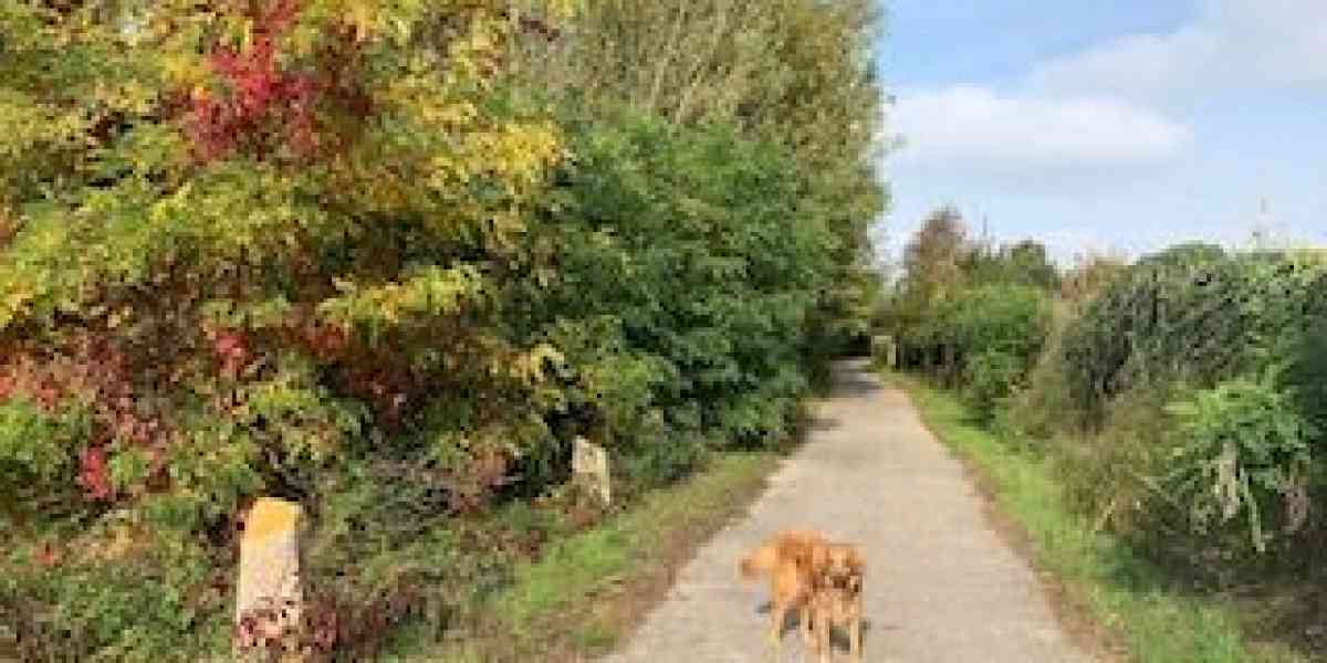 A Settimo di Pescantina incantevole passeggiata tra acqua, campi e chiesette