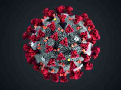 Risoluzione del contratto per Coronavirus