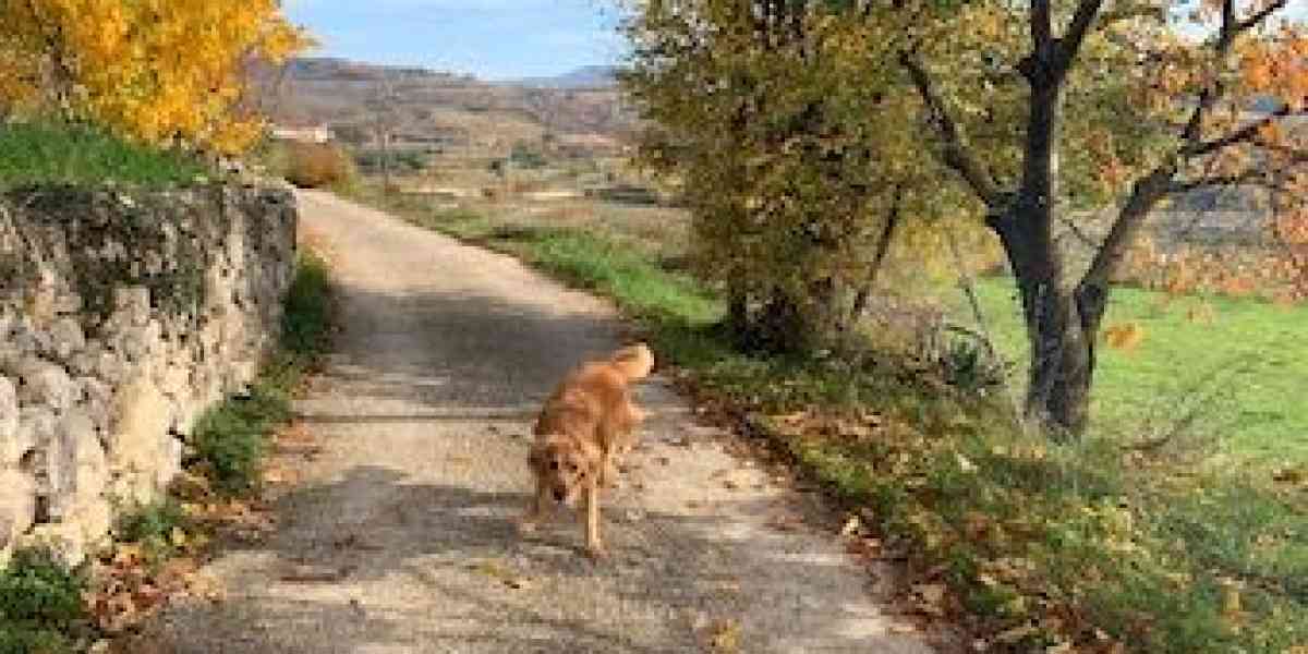 Valgatara: dove la Valpolicella mette in mostra il meglio di sé