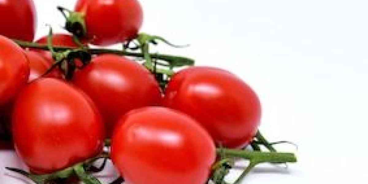 Il pomodoro, l’ortaggio arrivato dall’America che ha conquistato i nostri orti e i nostri piatti