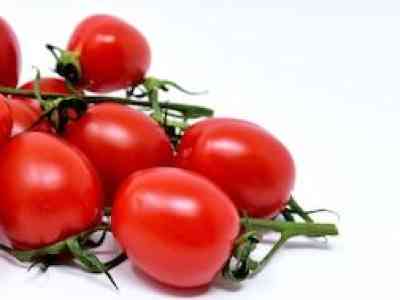 Il pomodoro, l’ortaggio arrivato dall’America che ha conquistato i nostri orti e i nostri piatti