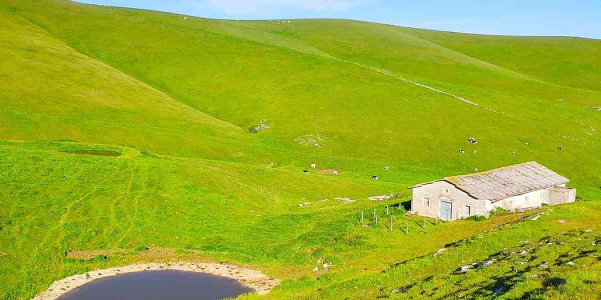 Estate di prossimità riscoprendo la Lessinia