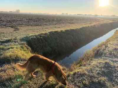 Insolita Concamarise tra natura, ville e chiesette