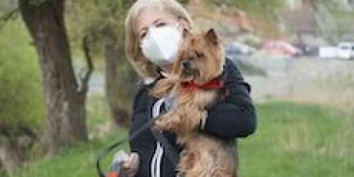 Anche i nostri cani e gatti hanno sofferto del sottosopra causato dal Coronavirus