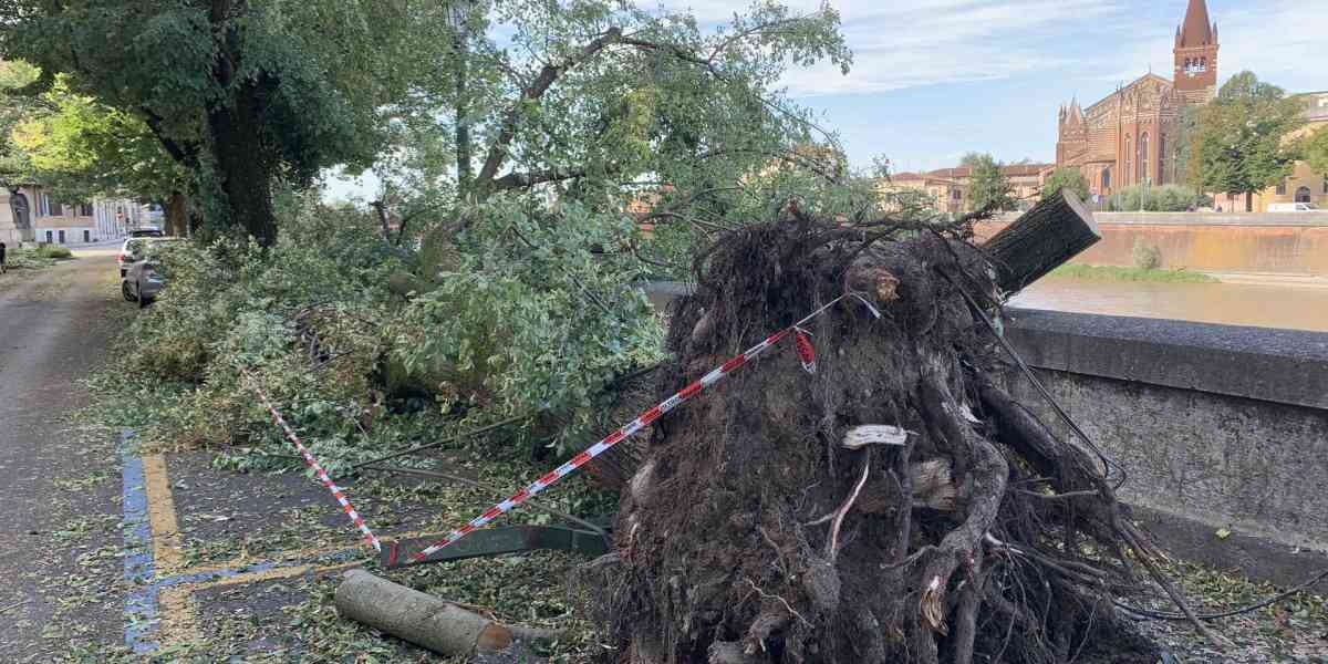 Verona sott'acqua: indaghiamo le cause di questi disastri