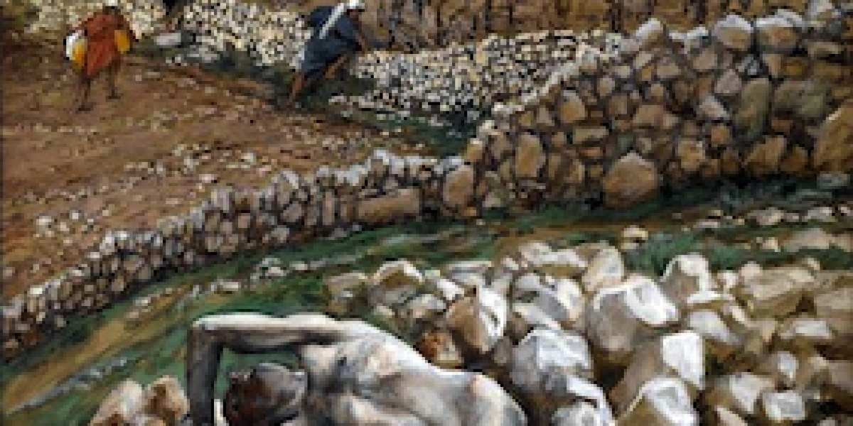 Custodire la vigna è dono e impegno per tutti