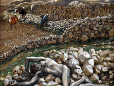 Custodire la vigna è dono e impegno per tutti