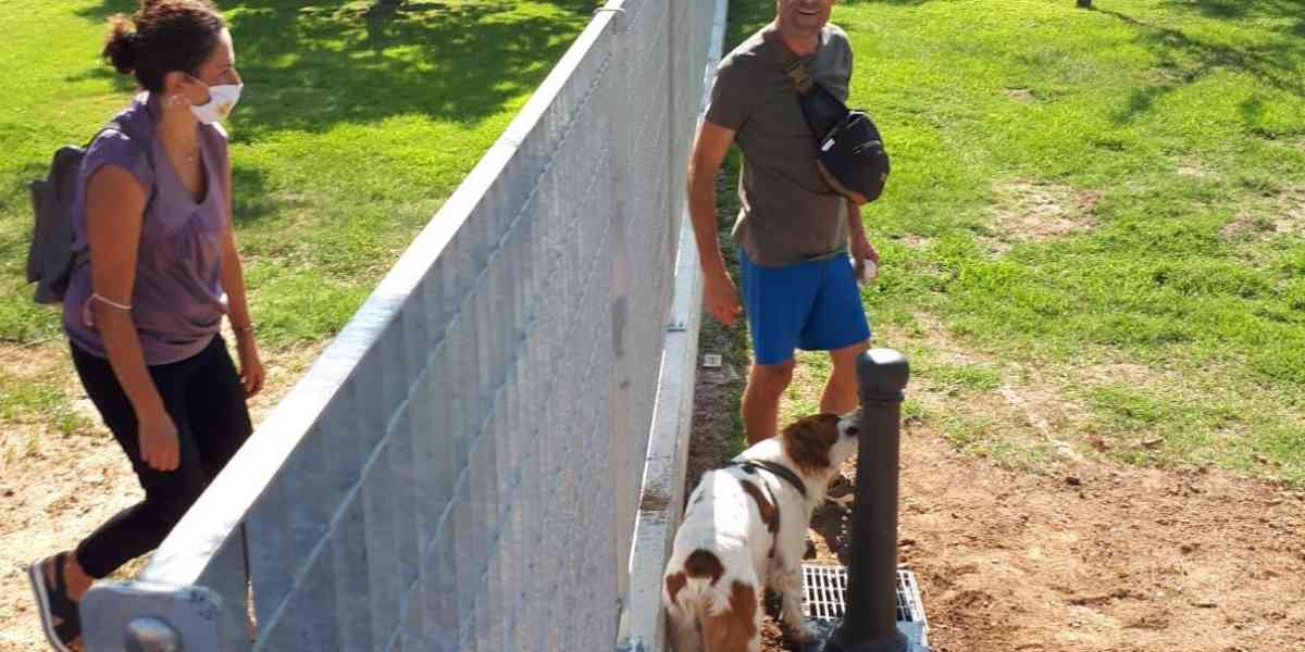 Qui il Comune si rivela "amico del cane"
