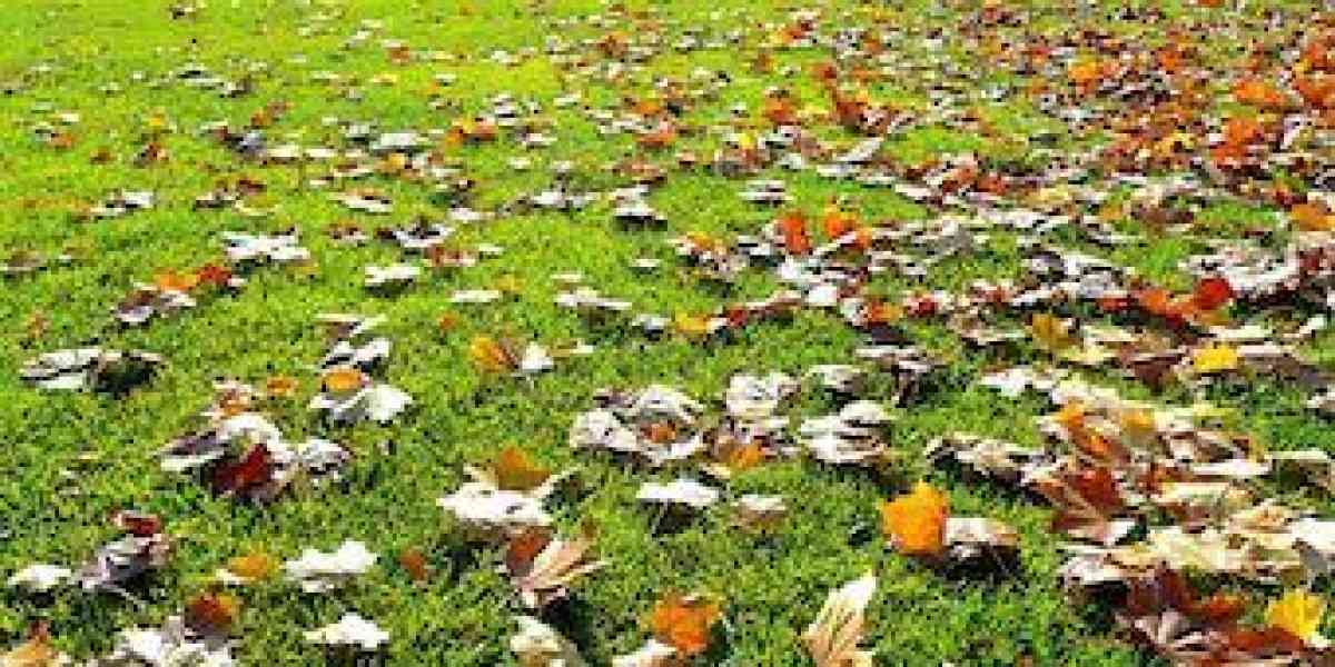 Prepariamo il nostro prato ad affrontare l’inverno