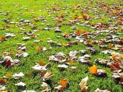 Prepariamo il nostro prato ad affrontare l’inverno