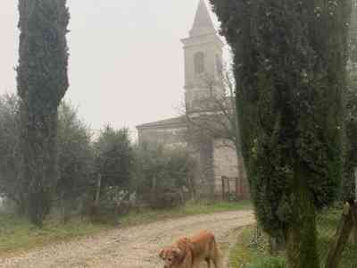Verso la Madonna del Monte sul Sentiero della pace