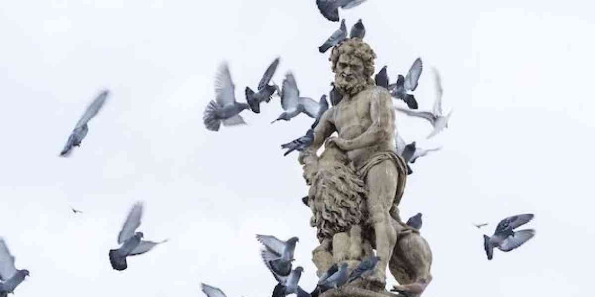 Chi deve combattere i pericoli portati dai piccioni a persone e cose?