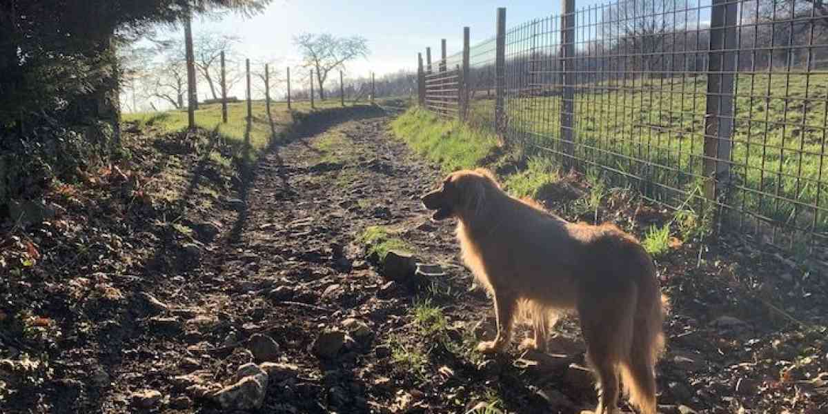 I sentieri incantati di Montecchio tra natura, buon cibo e panorami