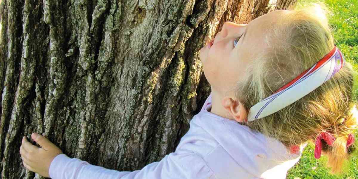 Fism, albero che cresce e fa crescere i bambini