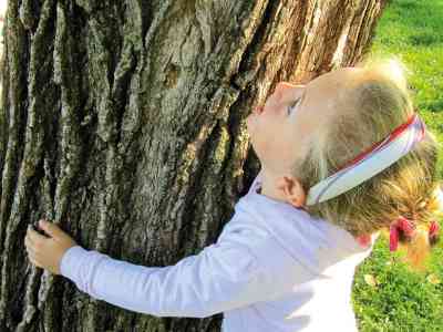 Fism, albero che cresce e fa crescere i bambini