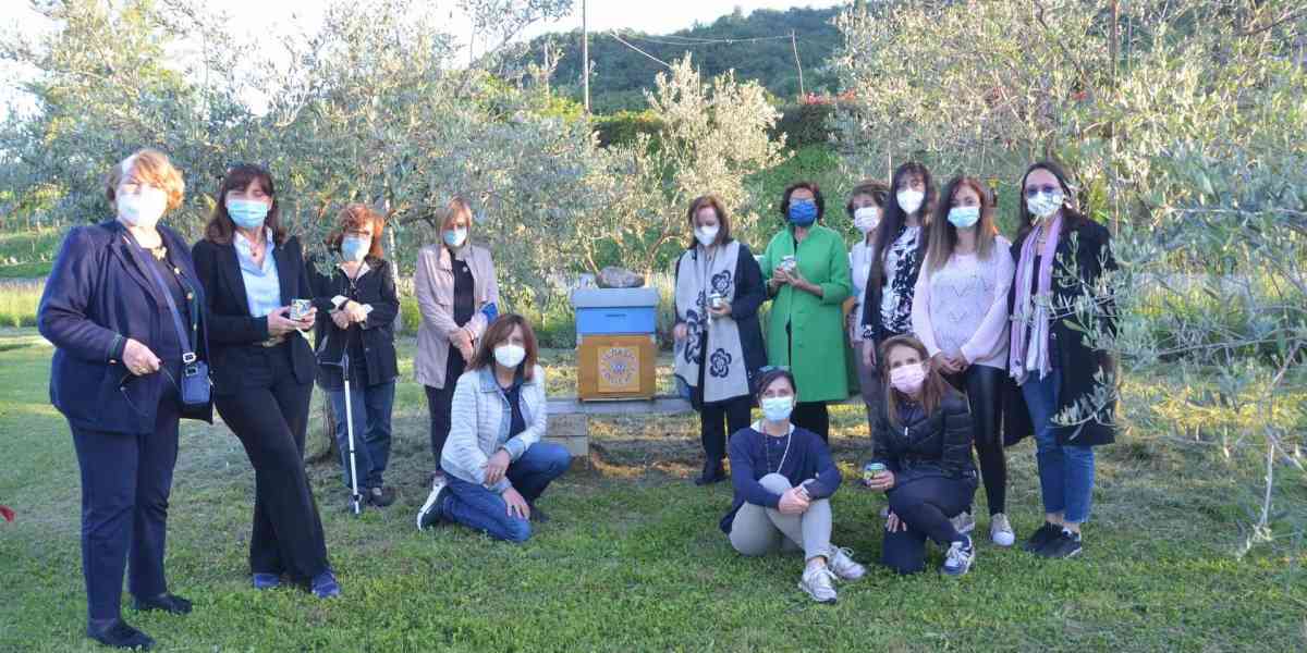 Api in via d’estinzione? Ci pensa Soroptimist Verona