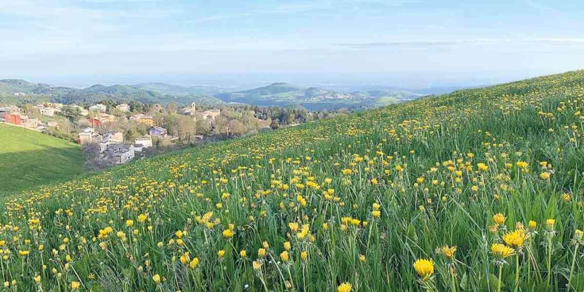 Vado a vivere sui monti: la nuova frontiera