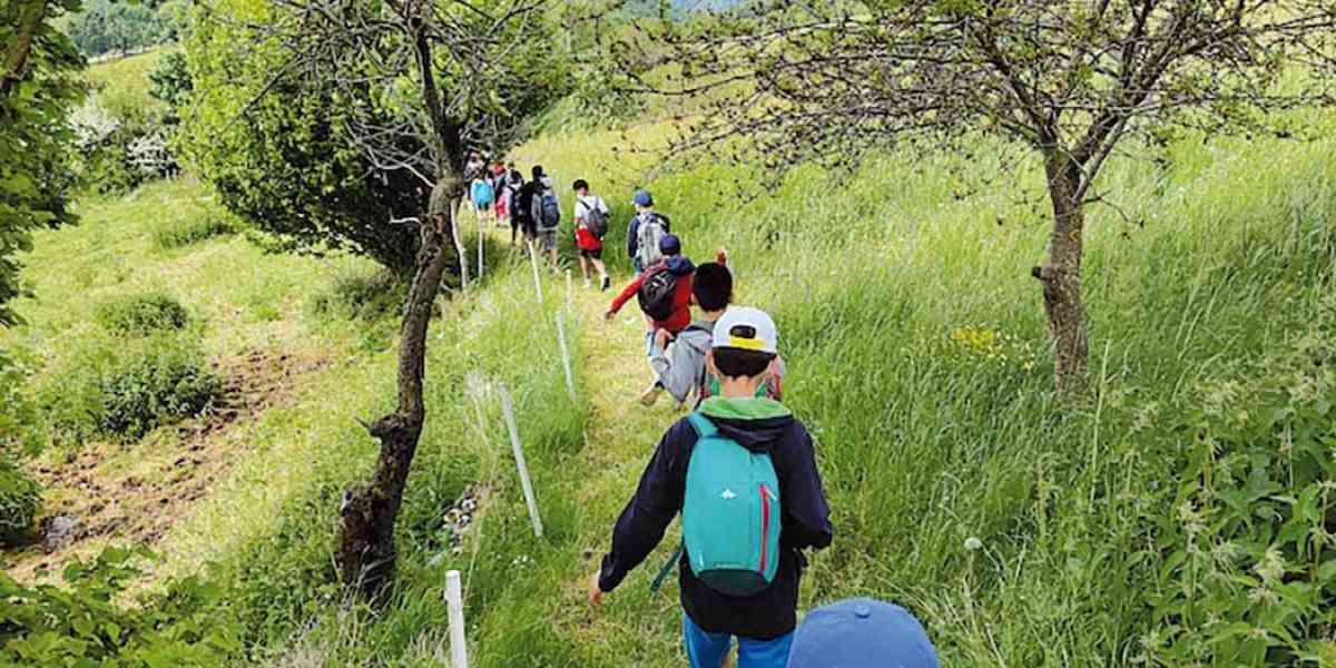 Up Sant'Ambrogio - Domegliara. Due campiscuola a Campofontana, segnali di ritorno alla normalità