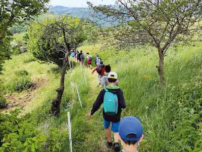 Up Sant'Ambrogio - Domegliara. Due campiscuola a Campofontana, segnali di ritorno alla normalità
