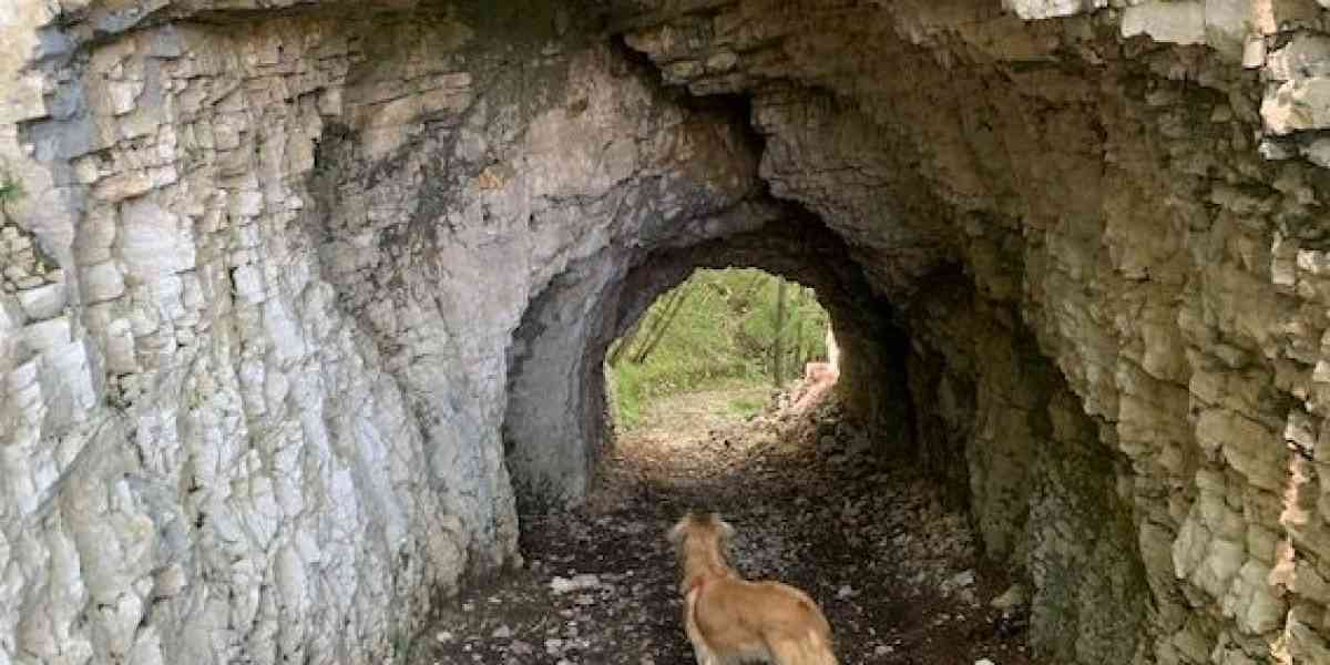 Da Velo giù fino a Giazza in una natura straripante